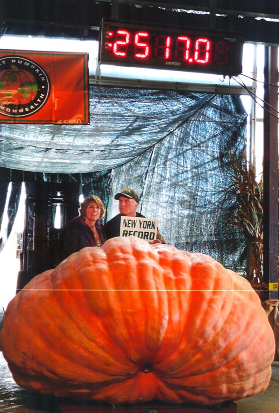 Giant Pumpkin Weighoff features third largest in history News